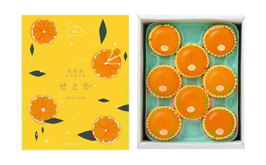 愛媛県産宇和島産 せとか 秀L～2Lサイズ 1.8kg （8～10個）