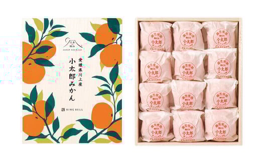 愛媛県産 小太郎みかん 2Sサイズ 720g（12個）