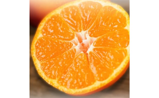 【希望の島】 温州みかん 特選品 中玉 2kg