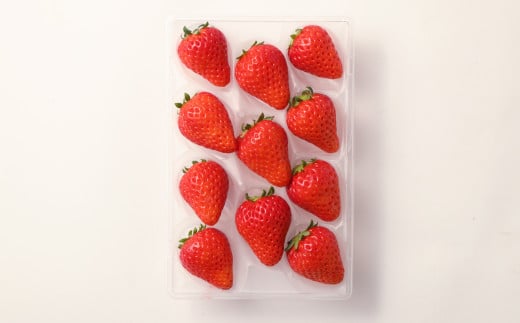 大三島産 「 あまおとめ 」270g×2パック （507）