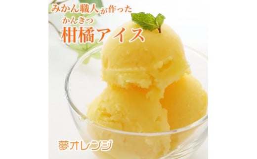 みかん職人が作った柑橘アイス1000ml×4種