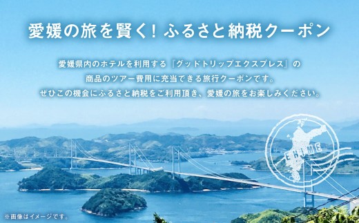 愛媛県内の宿泊施設に泊まるふるさと納税旅行クーポン15,000円分(1138)