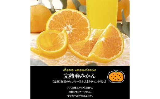 【希望の島】 完熟春みかん （カラマンダリン） 特選品 中玉 2kg