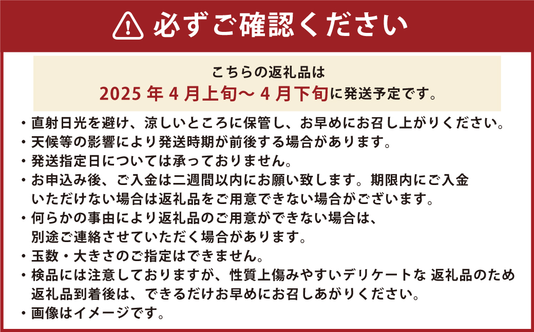 大岩農園の清見タンゴール 家庭用 約4.5kg 果物 フルーツ みかん ミカン 柑橘 （491）【えひめの町（超）推し！（伊方町）】【2025年4月発送予定】