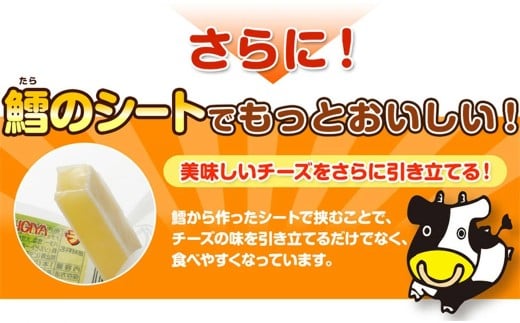 チーズおやつカマンベール 48本入り×2箱セット （計268.8g） チーズ カマンベール おやつ 加工品 個包装 セット 愛媛県 常温 【えひめの町（超）推し！（松前町）】 （943）