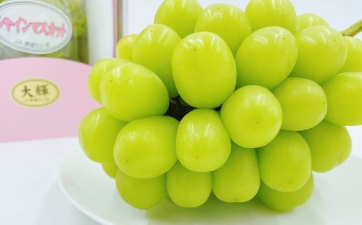 内子町産 シャインマスカット 赤秀 1房入 約750g以上