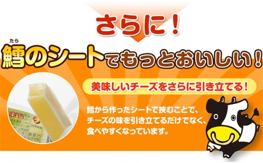チーズおやつカマンベール 48本入り×1箱セット （計134.4g） チーズ カマンベール おやつ 加工品 個包装 セット 愛媛県 常温 【えひめの町（超）推し！（松前町）】 （942）
