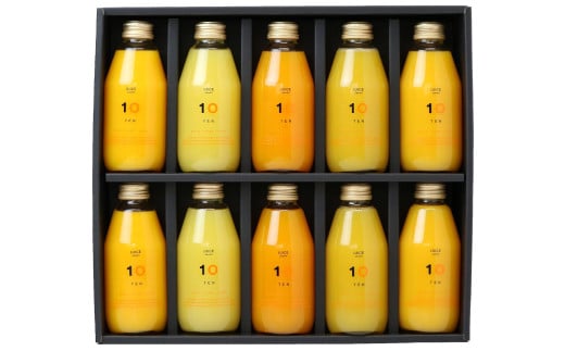 愛媛みかん 果汁100% ストレートジュース ギフト セット 10種類 （200ml×10本組） 計2L 飲料 ドリンク 果物 くだもの フルーツ 果汁 柑橘 みかん プレゼント 国産 常温 （502）