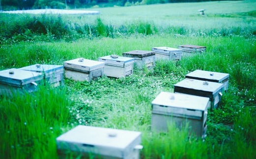 蜜柑の雫（しずく） 300g