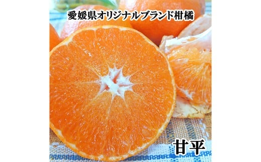 【希望の島】 甘平 特選品 大玉 2kg
