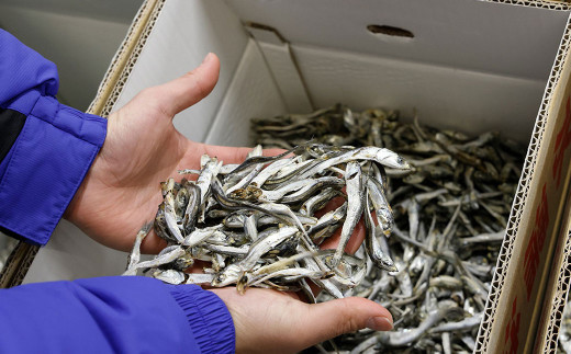 瀬戸内海産手作りアーモンド小魚（大袋）【4袋】（895）