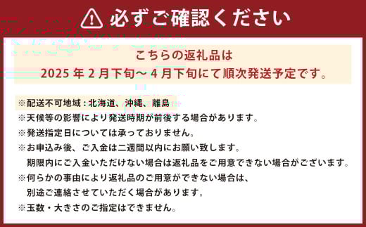 せとか 4L～L 約5kg みかん ミカン 蜜柑 果物 くだもの フルーツ 柑橘 【2025年2月下旬－4月下旬発送予定】（821）