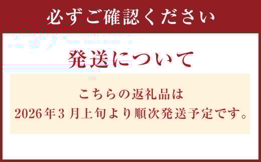 愛媛県産 プリンセスネーブル L～2Lサイズ 2kg（6～9個）