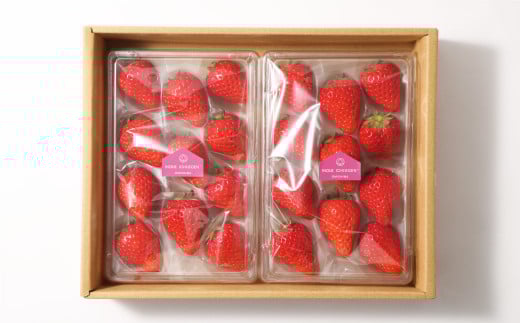 大三島産 「 あまおとめ 」270g×2パック （507）