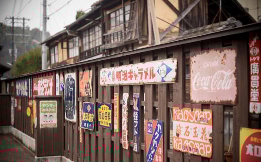 ”プライベートガイドと巡る” 臥龍山荘 と シネマ散策 「6名様」 旅行 ガイド付き ガイド 散策 トラベル 観光 チケット （801）