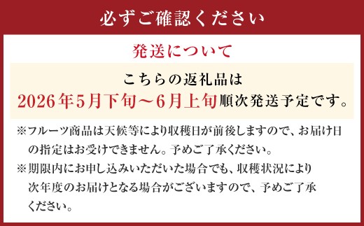愛媛県産 河内晩柑 4kg（12～14個） （873）