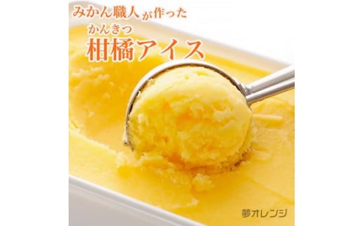 みかん職人が作った柑橘アイス1000ml×4種