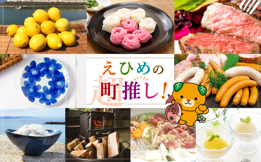 内子町産 生しいたけ (菌床栽培) 約240g×3パック 計約720g 【えひめの町（超）推し！（内子町）】(443)