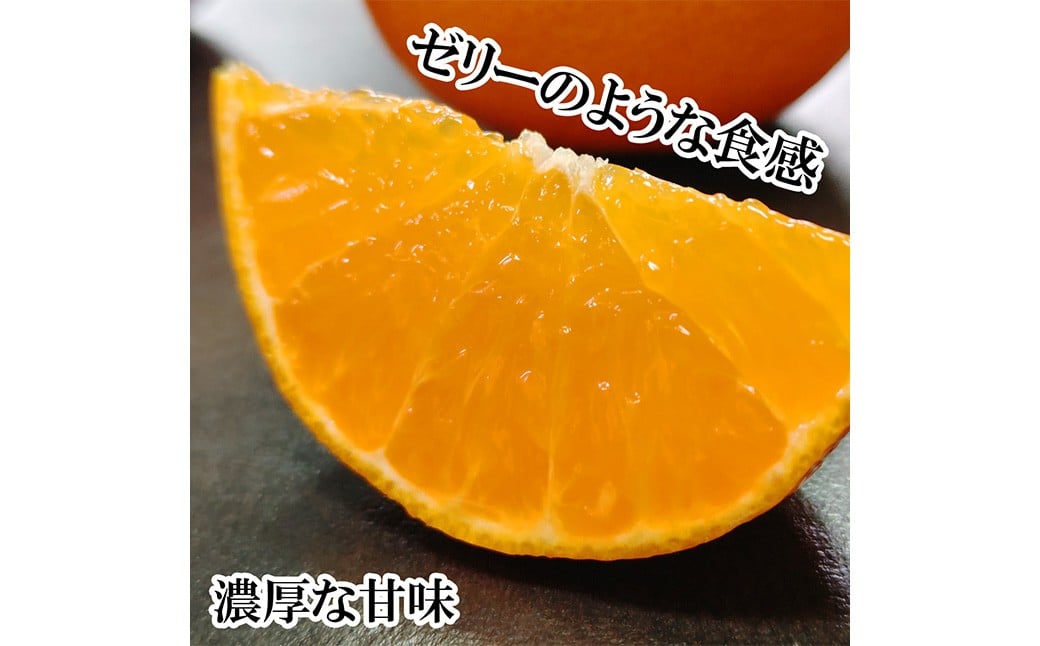 【希望の島】 愛果48号 特選品 中玉 2kg