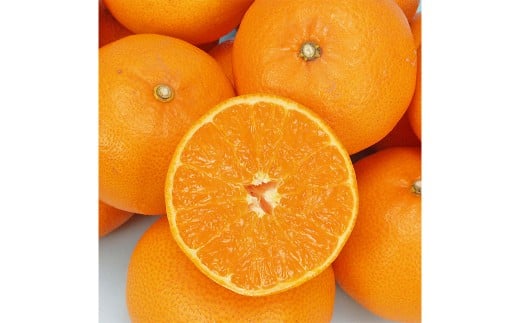 【希望の島】 せとか 特選品 中玉 2kg