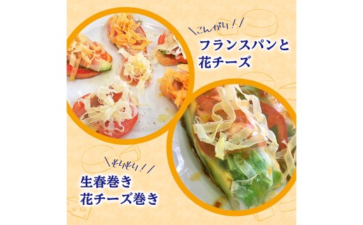 サーモン ＆ 花チーズ 60g×5袋 （計300g） 鮭 魚 海鮮 魚介類 骨なし チーズ 加工品 愛媛県 常温 【えひめの町（超）推し！ （松前町）】 （926）