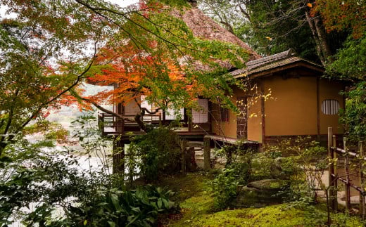 ”プライベートガイドと巡る” 臥龍山荘 と シネマ散策 「9名様」 旅行 ガイド付き ガイド 散策 トラベル 観光 チケット （804）