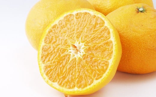 【希望の島】 完熟春みかん （カラマンダリン） 特選品 中玉 2kg