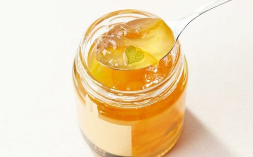 22_Ehime カタログギフト （2品選択コース） 1冊 選べる ハンバーグ キジ鍋 鯛 麺 餃子 ジャム ジュース おにぎり 大福 ビール バル タオル お中元 御歳暮 御祝 愛媛県（540）