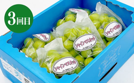 愛媛の旬のフルーツ3回定期便