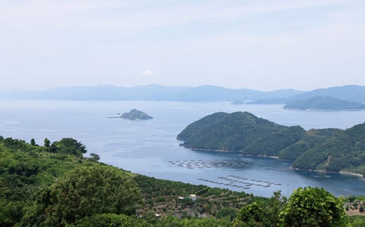 媛っこ地鶏 すき焼きセット（905）