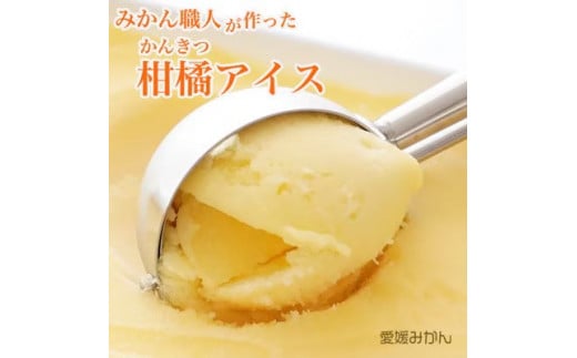 みかん職人が作った柑橘アイス1000ml×4種