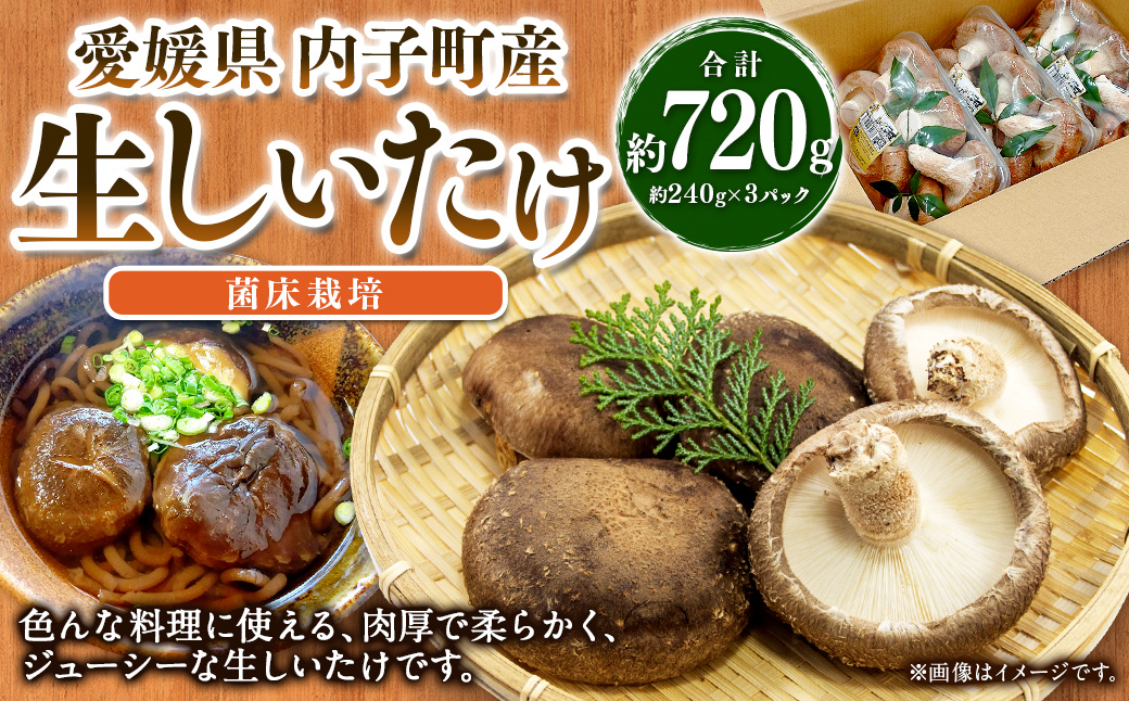内子町産 生しいたけ (菌床栽培) 約240g×3パック 計約720g 【えひめの町（超）推し！（内子町）】(443)