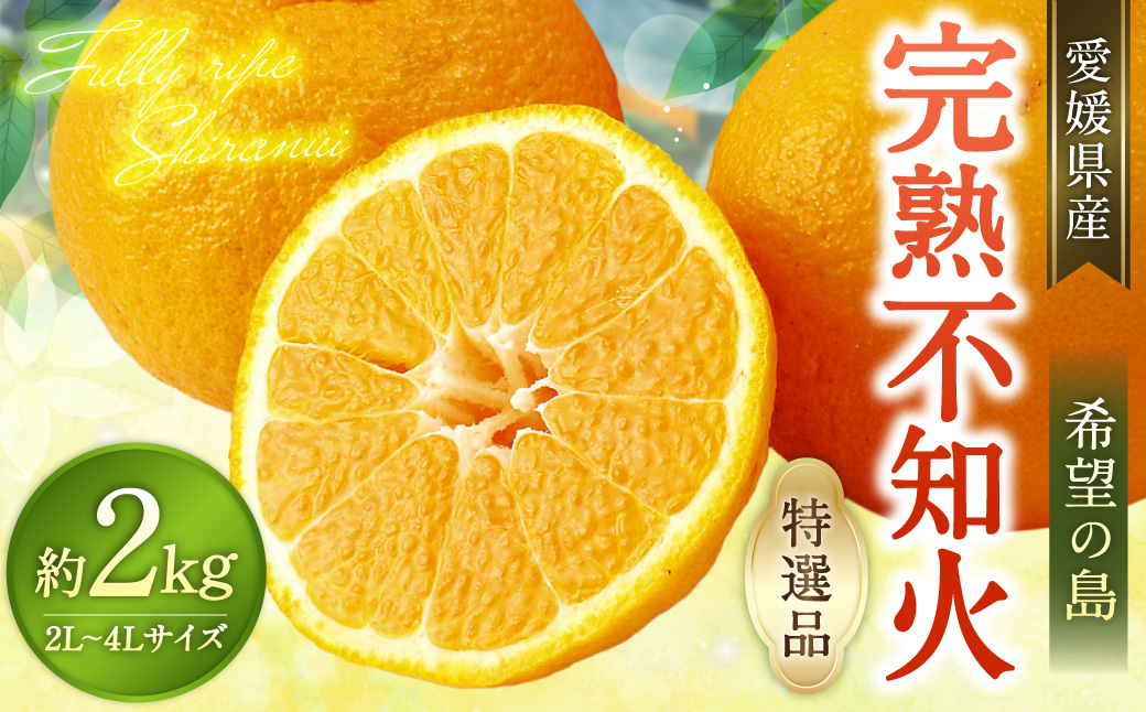 【希望の島】 完熟不知火 特選品 大玉 2kg