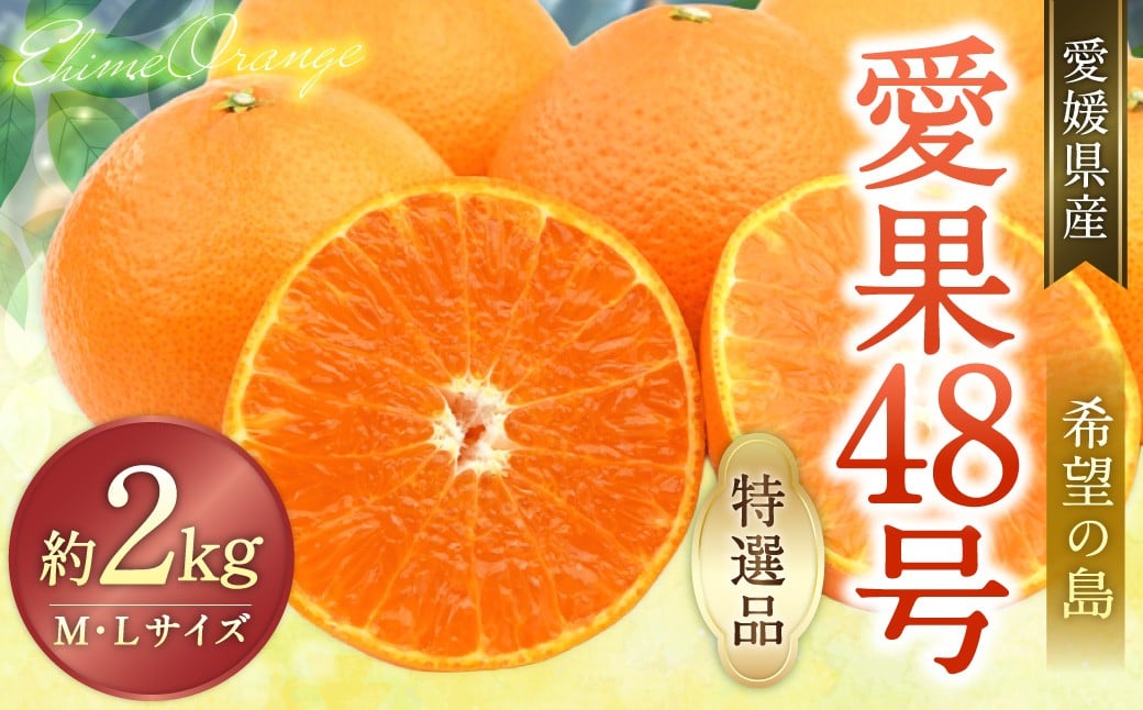 【希望の島】 愛果48号 特選品 中玉 2kg