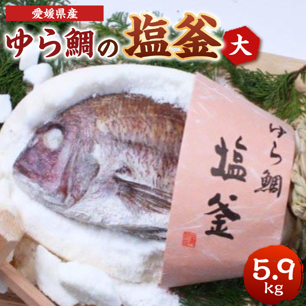 ゆら鯛の塩釜（大）1個 約5.9kg ゆら鯛 真鯛 たい タイ 鯛 塩釜焼き 塩釜 魚 魚介類 海鮮 祝い事 お祝い ハレの日 食品 冷蔵 宝水産 国産 由良半島 愛媛県【えひめの町（超）推し！（愛南町）】 （295）