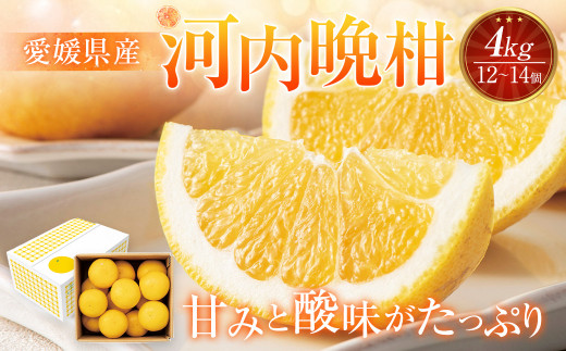 愛媛県産 河内晩柑 4kg（12～14個） （873）