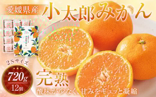 愛媛県産 小太郎みかん 2Sサイズ 720g（12個）