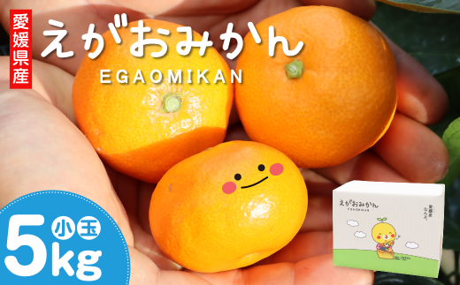 えがおみかん （南柑20号） 5kg  （562-1）