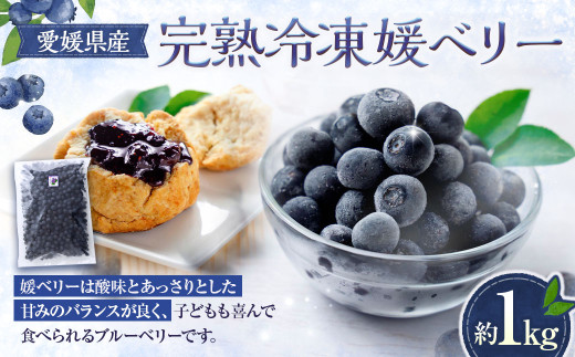 完熟冷凍媛ベリー【約1kg】（894）