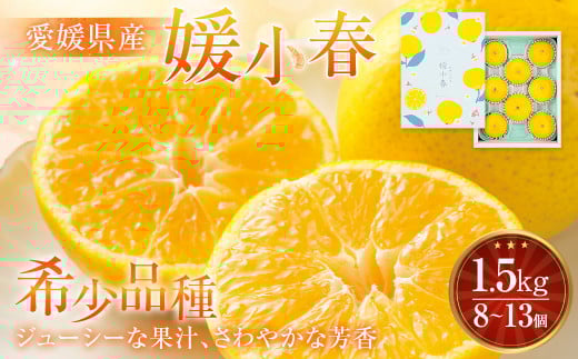 愛媛県産 媛小春 1.5kg（8～13個）