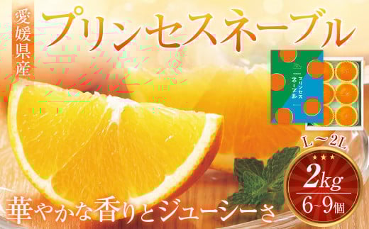 愛媛県産 プリンセスネーブル L～2Lサイズ 2kg