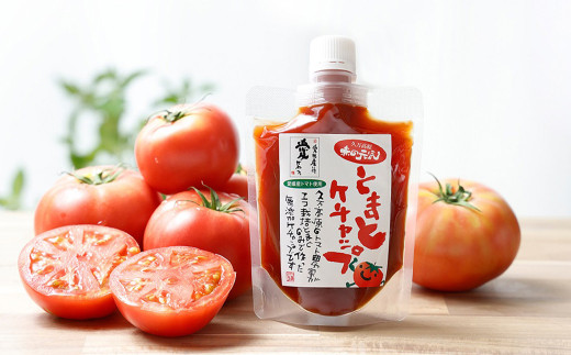 赤の元気 トマトケチャップセット ドライトマト付（911）