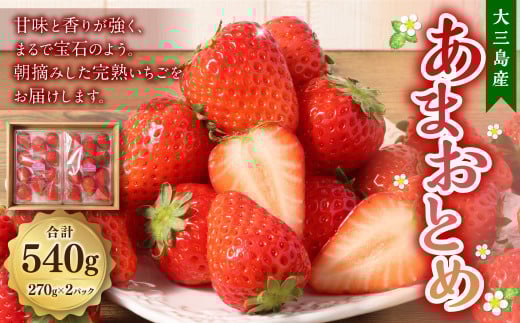 大三島産 「 あまおとめ 」270g×2パック （507）