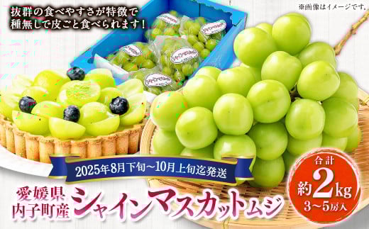 内子町産 シャインマスカット ムジ 3～5房入 約2kg