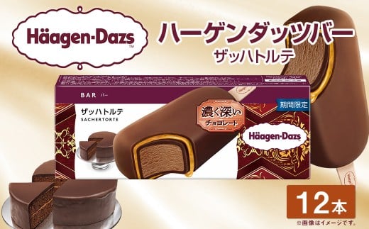ハーゲンダッツバー ザッハトルテ 12本セット