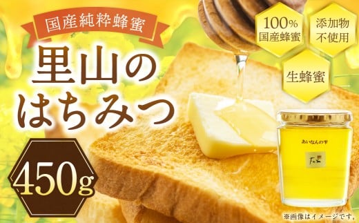 はちみつ 450g 蜂蜜  【えひめの町（超）推し！（愛南町）】（327）