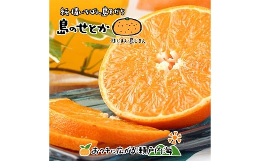 【希望の島】 せとか 特選品 中玉 2kg