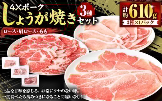 4Xポーク しょうが焼きセット （計約610g） ポーク 豚肉 肉 生姜焼き しょうが焼き （848）