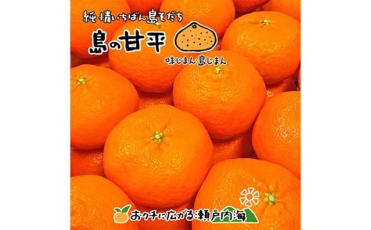 【希望の島】 甘平 特選品 大玉 2kg