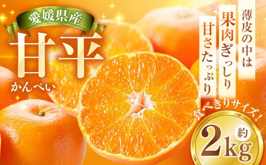 甘平 約2kg